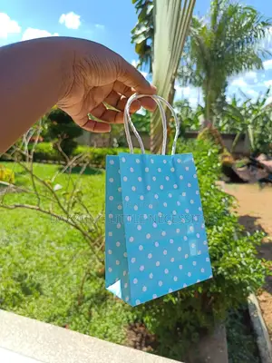 Polka Dot Gift Bag Set - (Pack of 6)