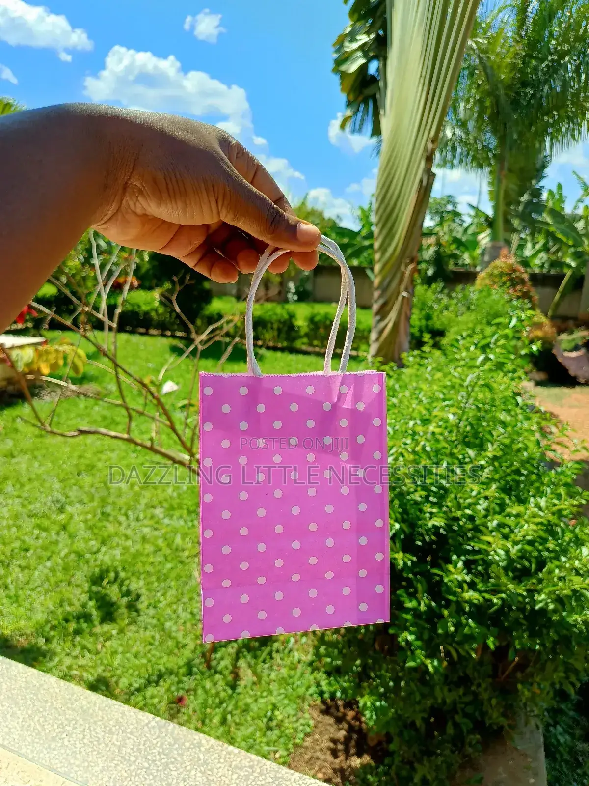 Polka Dot Gift Bag Set - (Pack of 6)