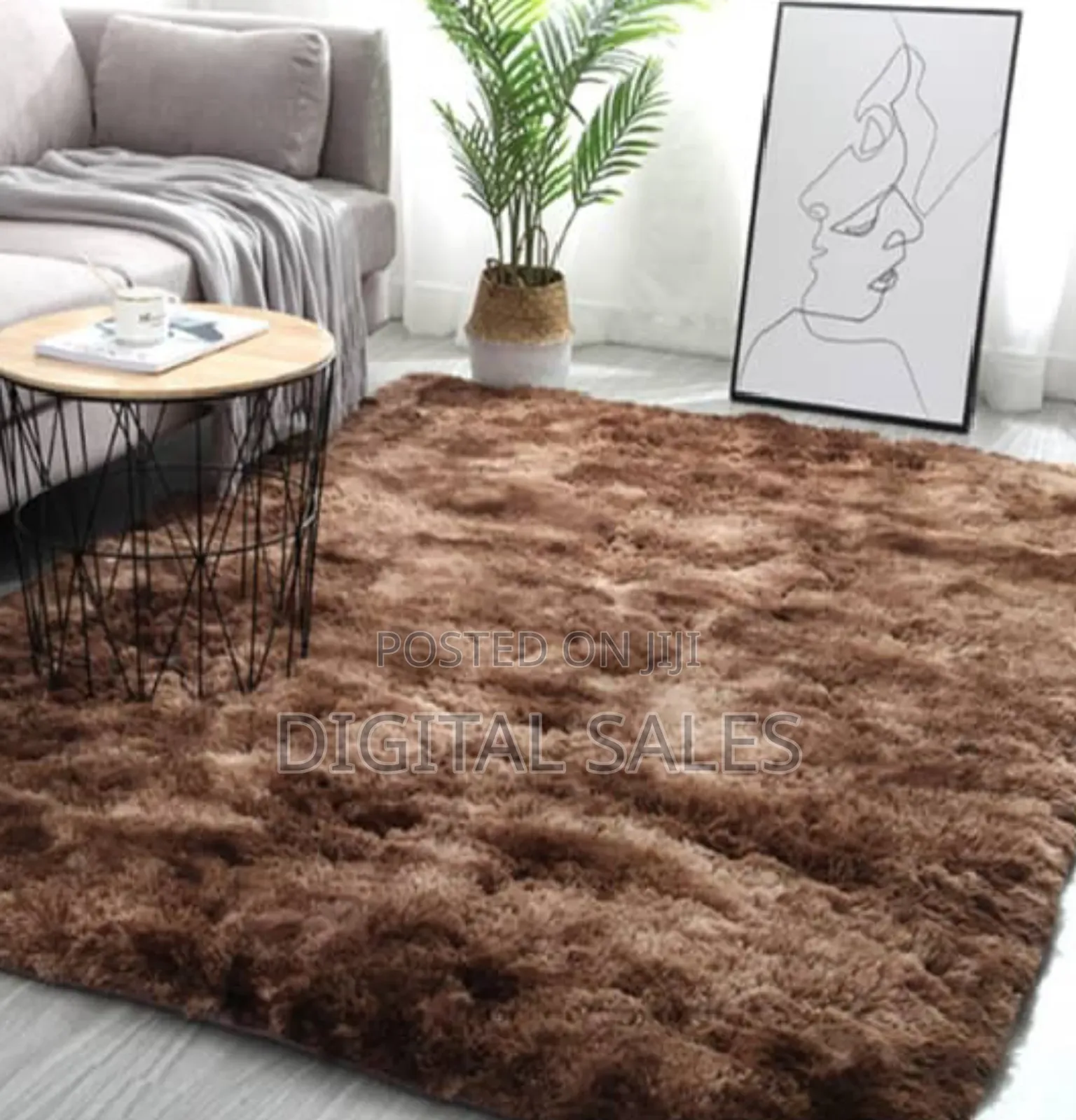 Fluffy Carpet
