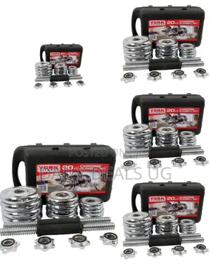 Stainless Steel 20kg Dumbbell Set