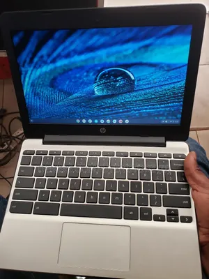 Laptop HP Chromebook 14 G2 8GB Intel Celeron SSHD+SSD 160GB