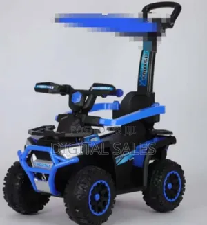 Infant Push Toy Car