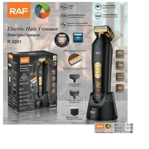 RAF Professional Electric Hair Clipper 3w R.4201