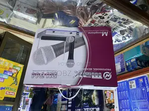 Microphone Speaker