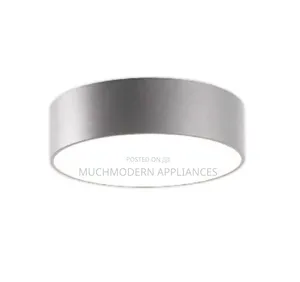 Round Silver Ceiling Light