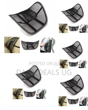 Brand Chair Back Support