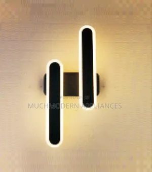 Stylish Indoor Wall Light