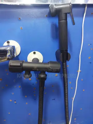 Black Shattaf Together With a Double Angle Valve