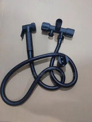 Black Shattaf Together With a Double Angle Valve