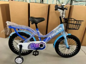 Children Bicycle Blue 4-9 Years