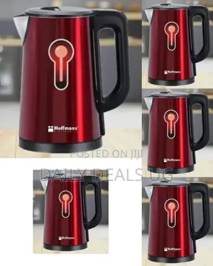 Stainless Steel Electric Kettle