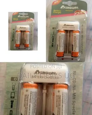 Double Battery Charger
