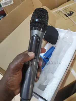 Professional Wireless Microphone