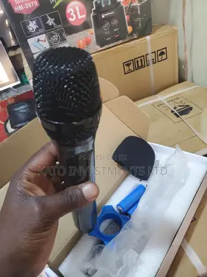 Professional Wireless Microphone