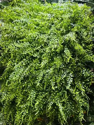 Indoor Artificial Flowers