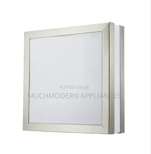 Square Silver Ceiling Light LL 2004-02-Dl-Ss