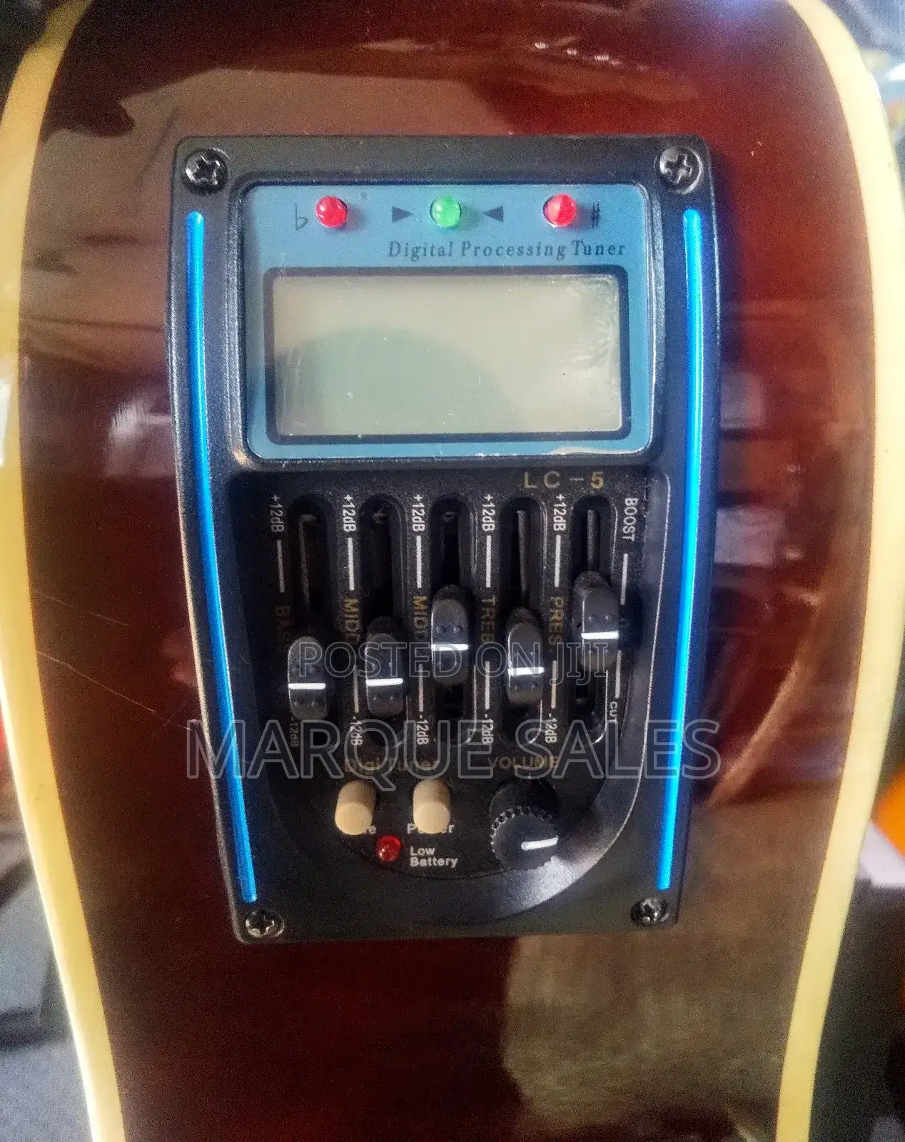 Acoustic Guitar