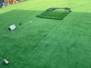 Dark Green Grass Carpet