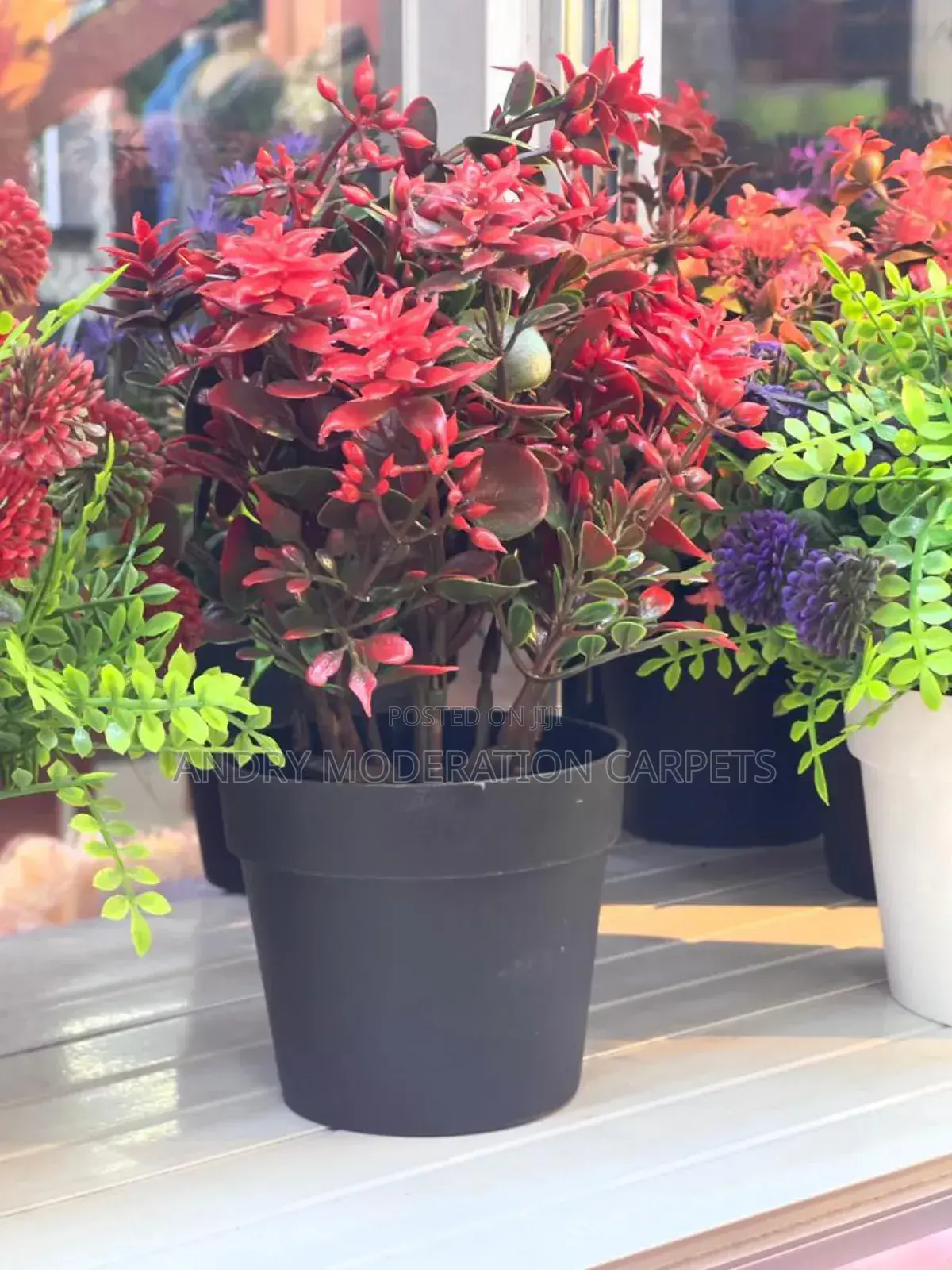 Office Flowers and Plant