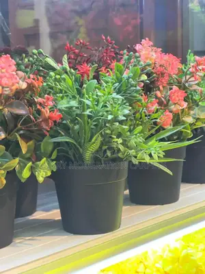 One Piece Artificial Flowers and Plant