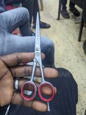 Professional Barber Scissor