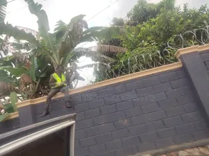 Lazor Wire