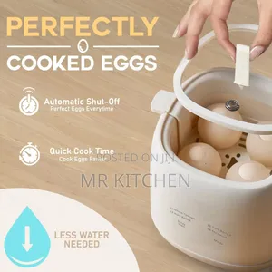 Electric Automatic Egg Boiler