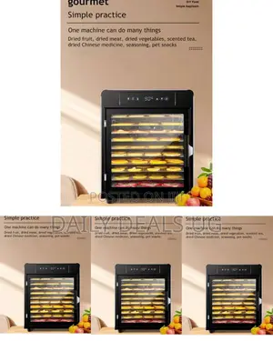 Electric Foo Dehydrator