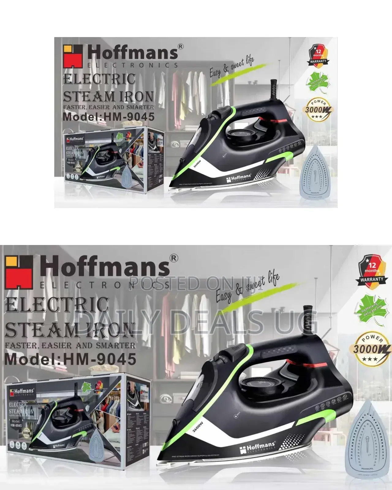 Hoffman's Steam Iron