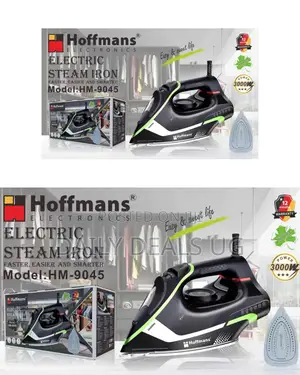 Hoffman's Steam Iron