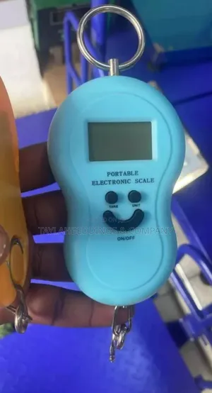 Portable LCD Display Hanging Weighing Scale With Hook