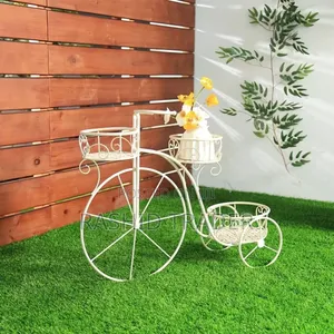 Tricycle Plant Holder