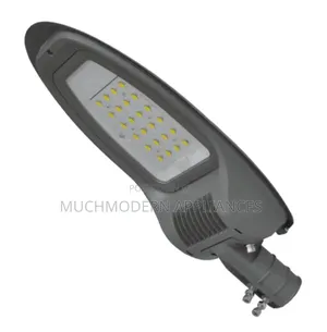 Street Lantern 50 Watts SL 6025-05