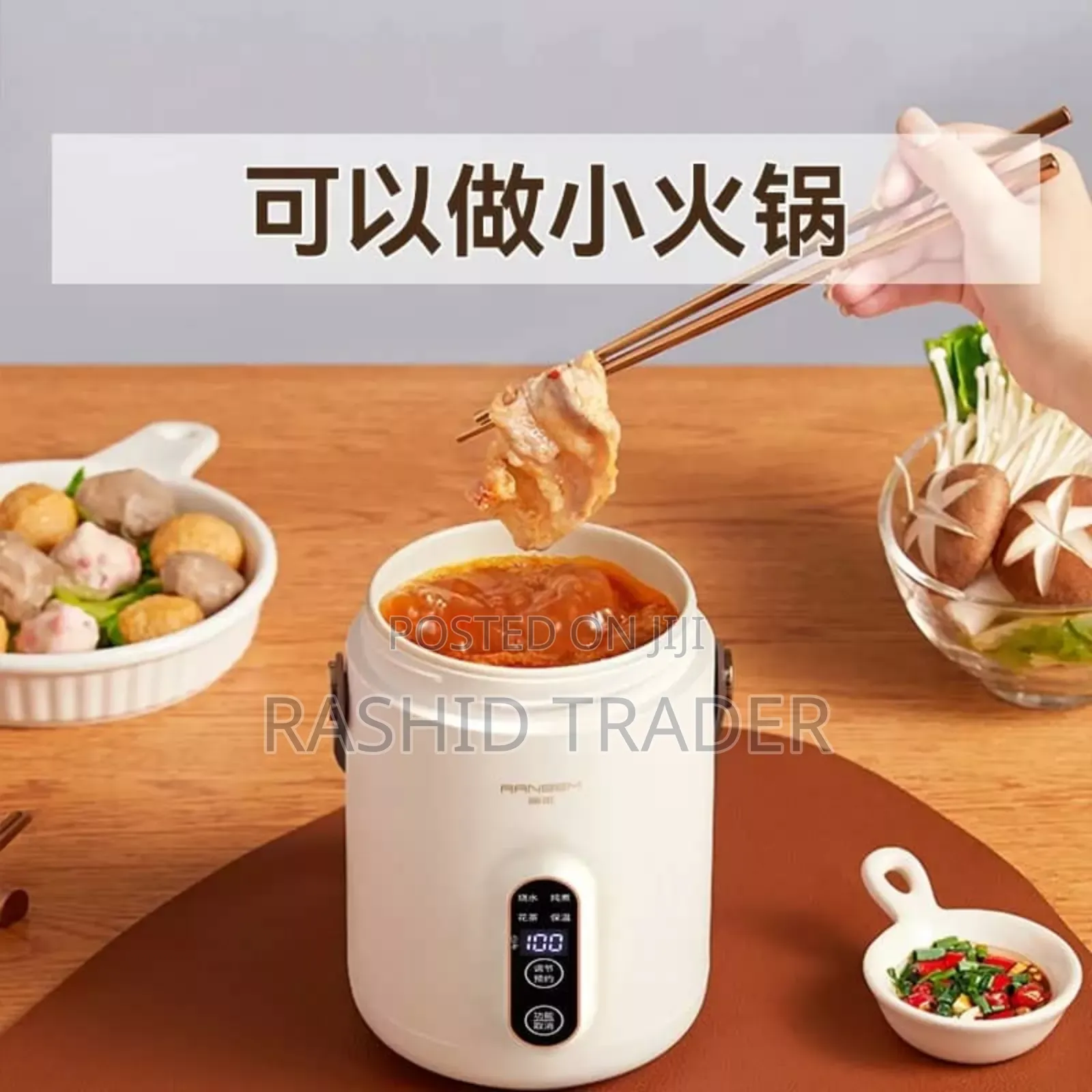 Portable Electric Stew Pot