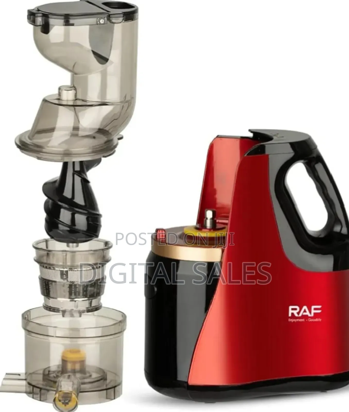 RAF Compact Slow Juicer Extractor