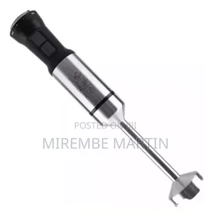 Hand Blender Immersion Blender 600w Raf R.294 Silver Color