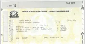 Professional Driver