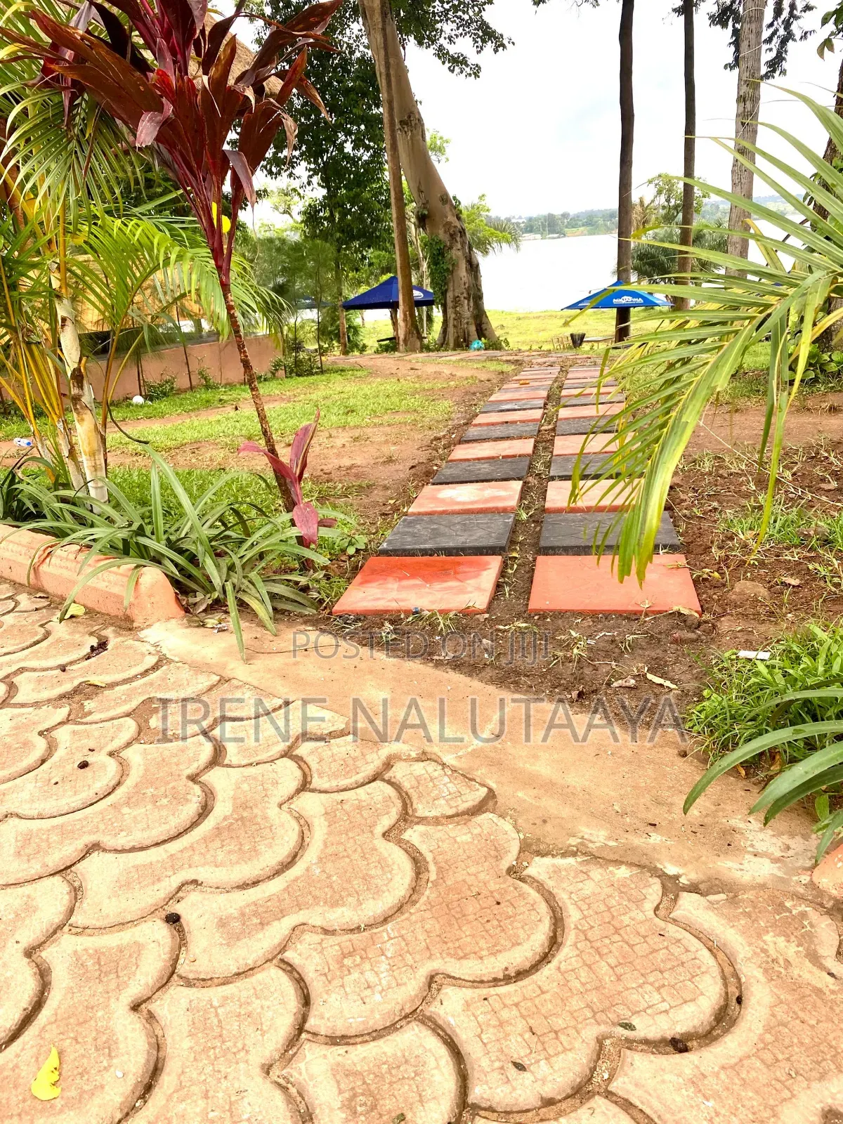 Walk Way /Stepping Stones
