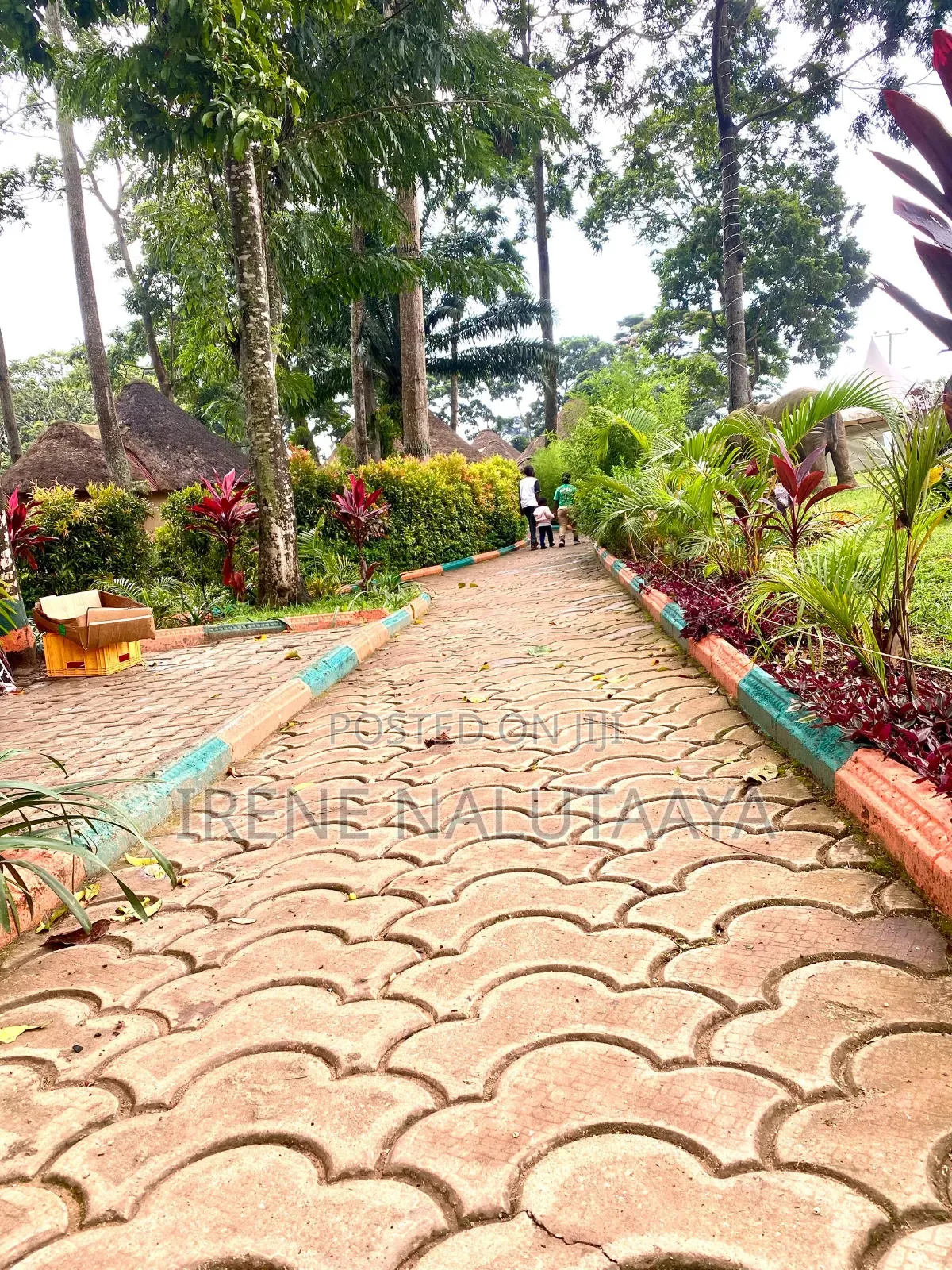 Walk Way /Stepping Stones