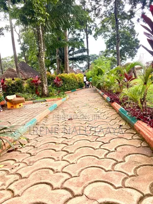 Walk Way /Stepping Stones