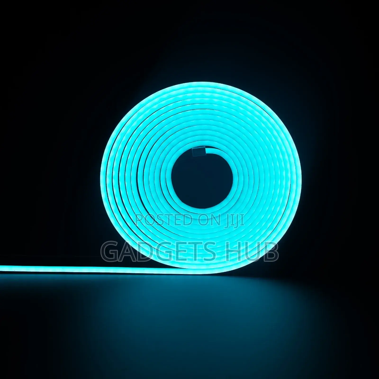 Neon Light 5M Silicone PVC Flex Strip Lights