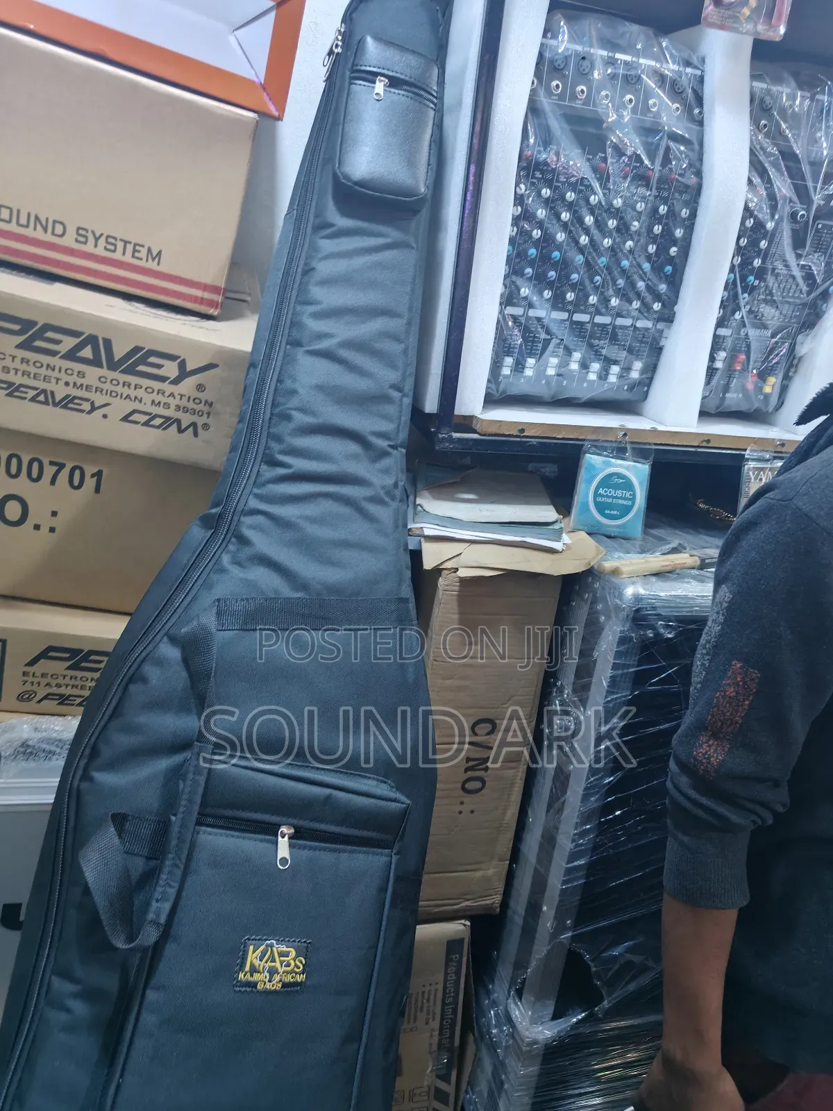 Bass Guitar Bag