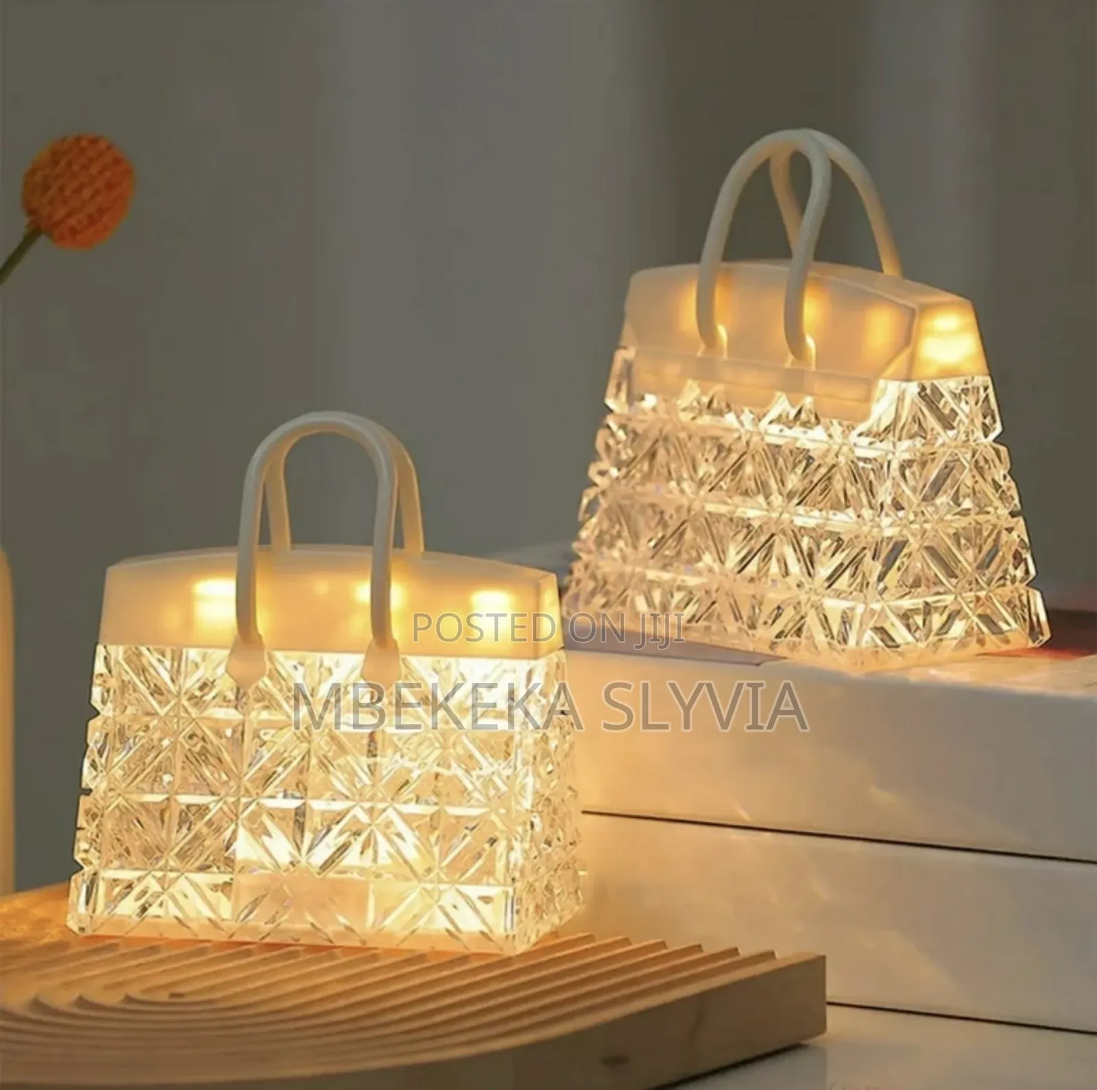 Led Light Handbag Design,Handbag Led Light Home Accessories