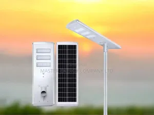 100w Solar Street Light SHSGVS