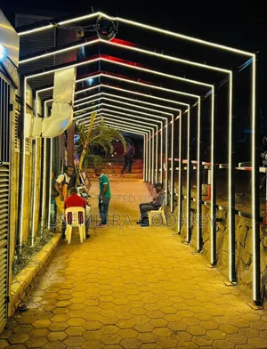 Warm Disco Lights Roll 50m 600000