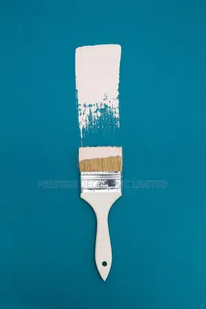 Painter on Sport