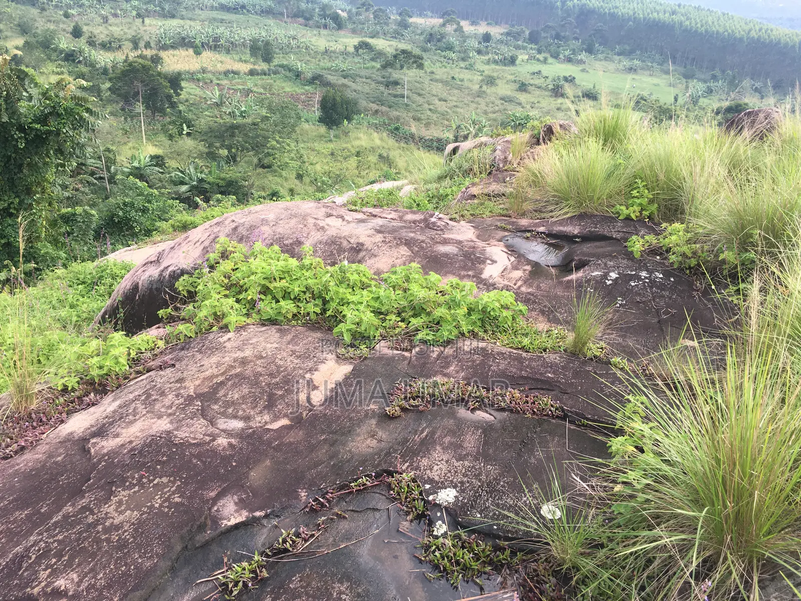 Rocky Land for Quarry.