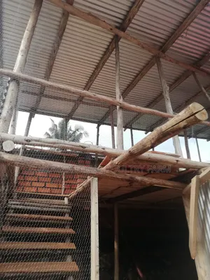 Poultry House Construction