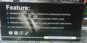 Professional Condenser Microphone