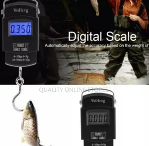 Electronic Travel Scale